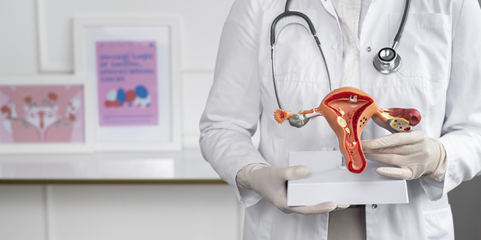 Best Cervical Cancer Treatment